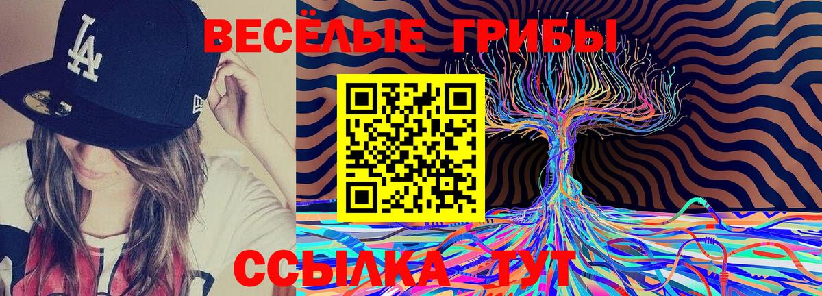 Псилоцибиновые грибы ЛСД  Вход с VPN  Псилоцибиновые грибы MAGIC MUSHROOMS  цена наркотик  Реж 
